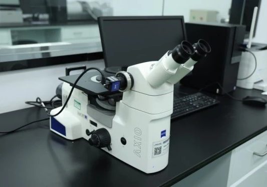 инвертированный микроскоп Carl Zeiss (Германия)